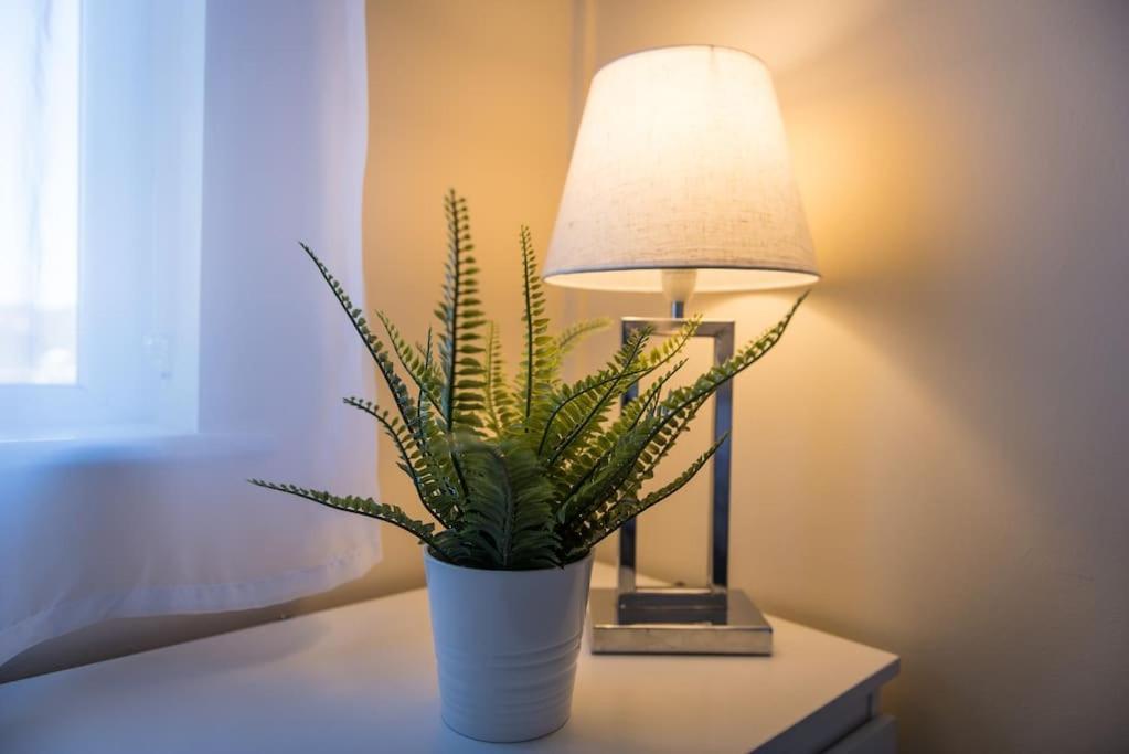 City Home From Home - Peaceful, Cosy & Modern 2Bed House ノッティンガム エクステリア 写真